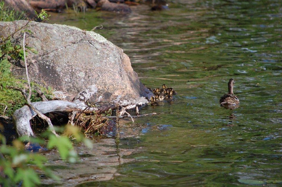SUMMER2010- (104)